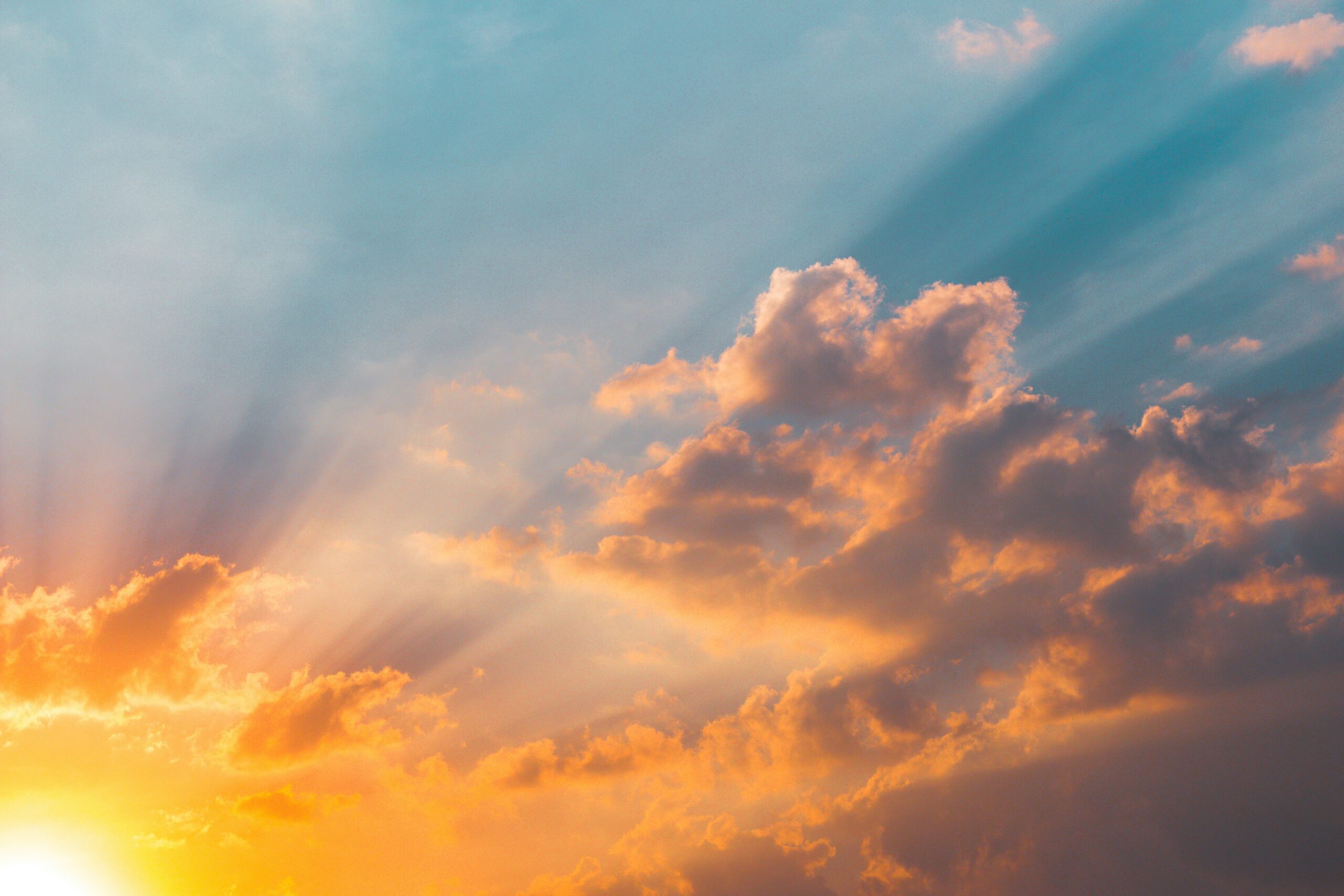 迷いながら生きている　ブログを始めた理由